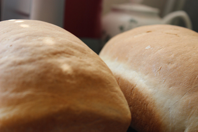 bake bread photo by tori beveridge